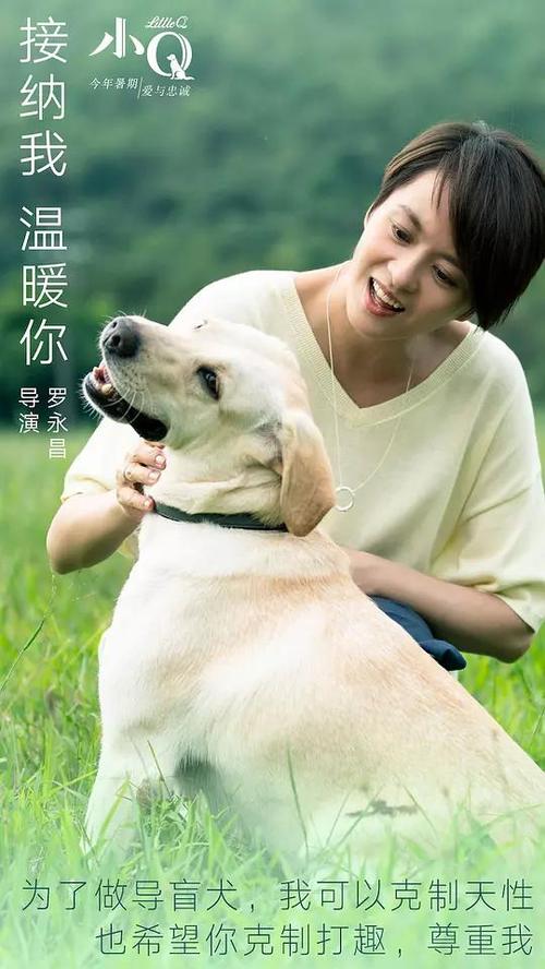 高知大学MarketDevelopmentDiploma
